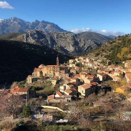Charmant F2 Dans Joli Village Corse Omessa ภายนอก รูปภาพ