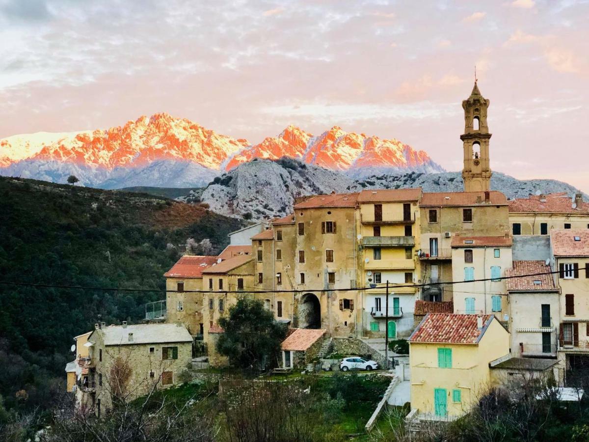 Charmant F2 Dans Joli Village Corse Omessa ภายนอก รูปภาพ